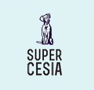 CURIOSIDADES QUE DESCONOCÍAS 